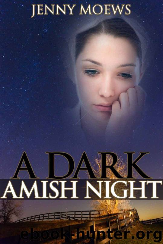 A Dark Amish Night by Jenny Moews
