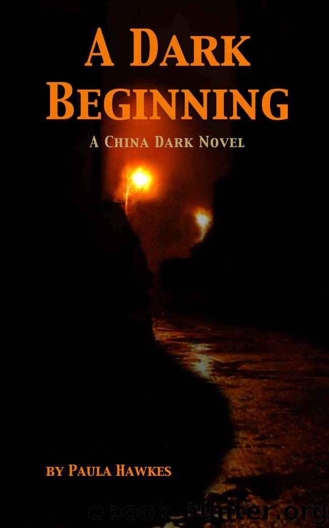 A Dark Beginning: A China Dark Novel by Hawkes Paula