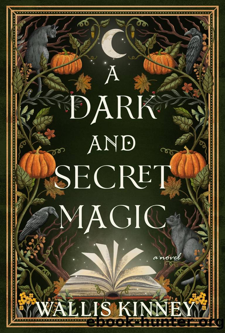 A Dark and Secret Magic by Wallis Kinney