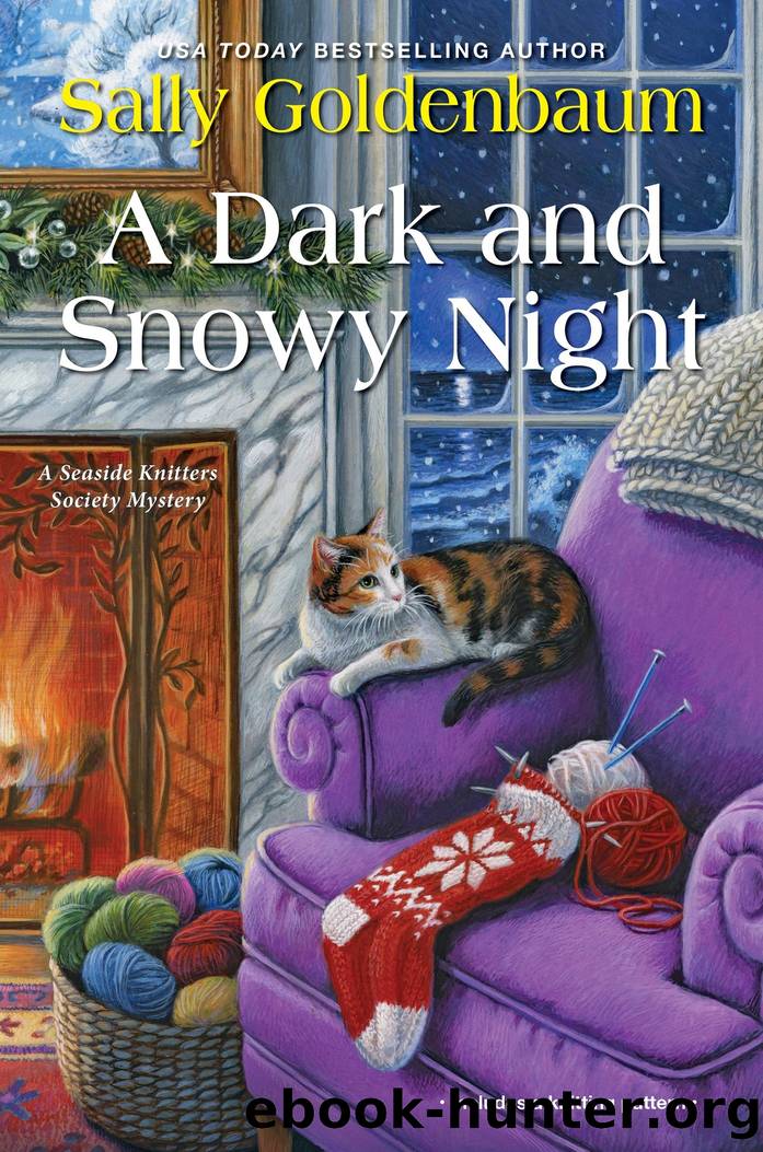 A Dark and Snowy Night by Sally Goldenbaum