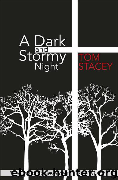 A Dark and Stormy Night by Tom Stacey