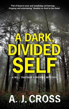 A Dark, Divided Self by A.J. Cross