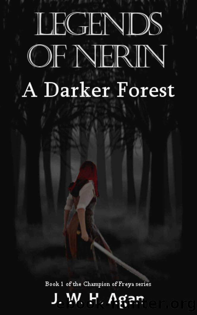 A Darker Forest- Legends of Nerin by J W H Agan
