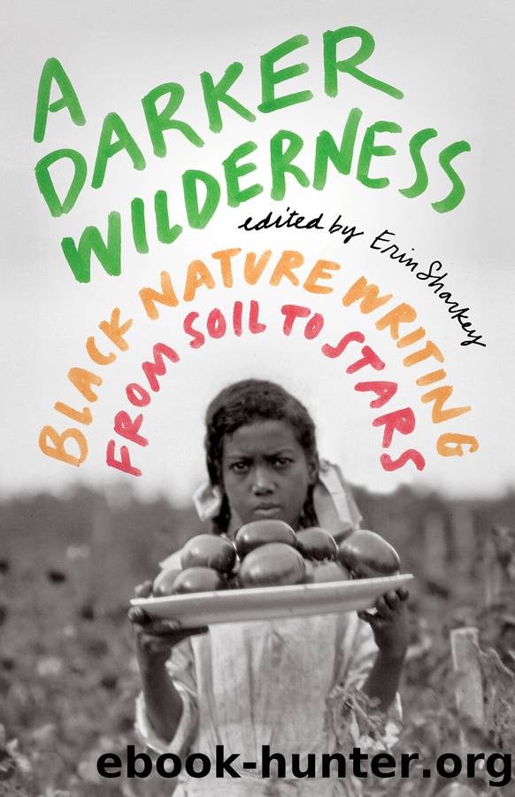 A Darker Wilderness by Erin Sharkey
