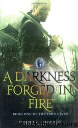 A Darkness Forged in Fire by Chris (chris R.) Evans