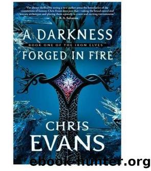 A Darkness Forged in Fire by Chris Evans by A Darkness Forged in Fire (v1.1) (mobi)