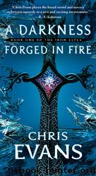 A Darkness Forged in Fire by Chris Evans