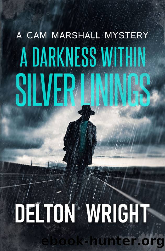A Darkness Within Silver Linings: A Cam Marshall Mystery by Delton Wright