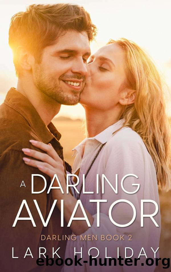 A Darling Aviator by Lark Holiday