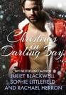 A Darling Bay Christmas by unknow