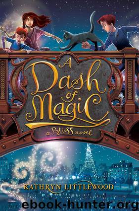 A Dash of Magic A Bliss Novel by Kathryn Littlewood