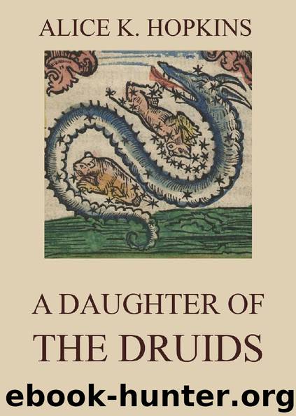 A Daughter Of The Druids by Alice K. Hopkins