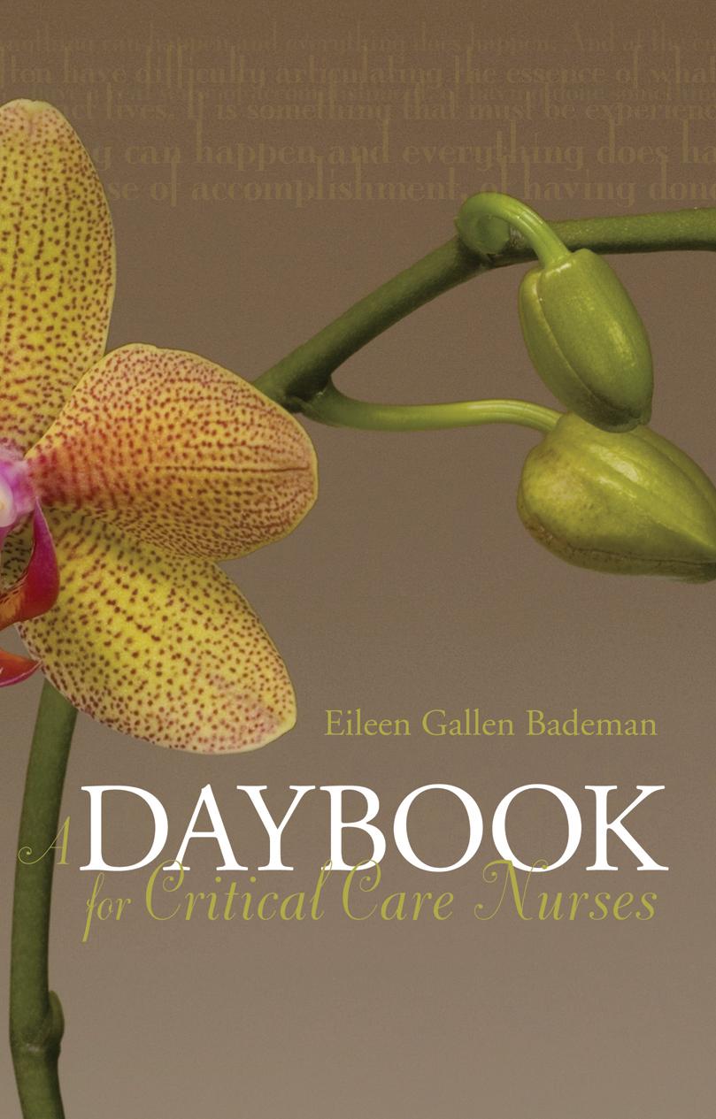 A Daybook for Critical Care Nurses by Eileen Gallen RN Bademan