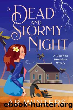 A Dead And Stormy Night: A Bed And Breakfast Cozy Mystery by A.R. Winters