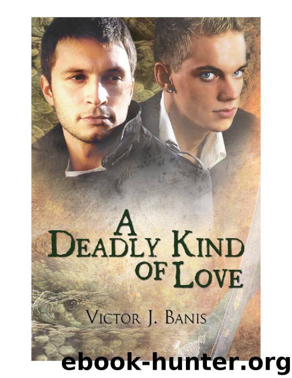 A Deadly Kind of Love by Victor J. Banis