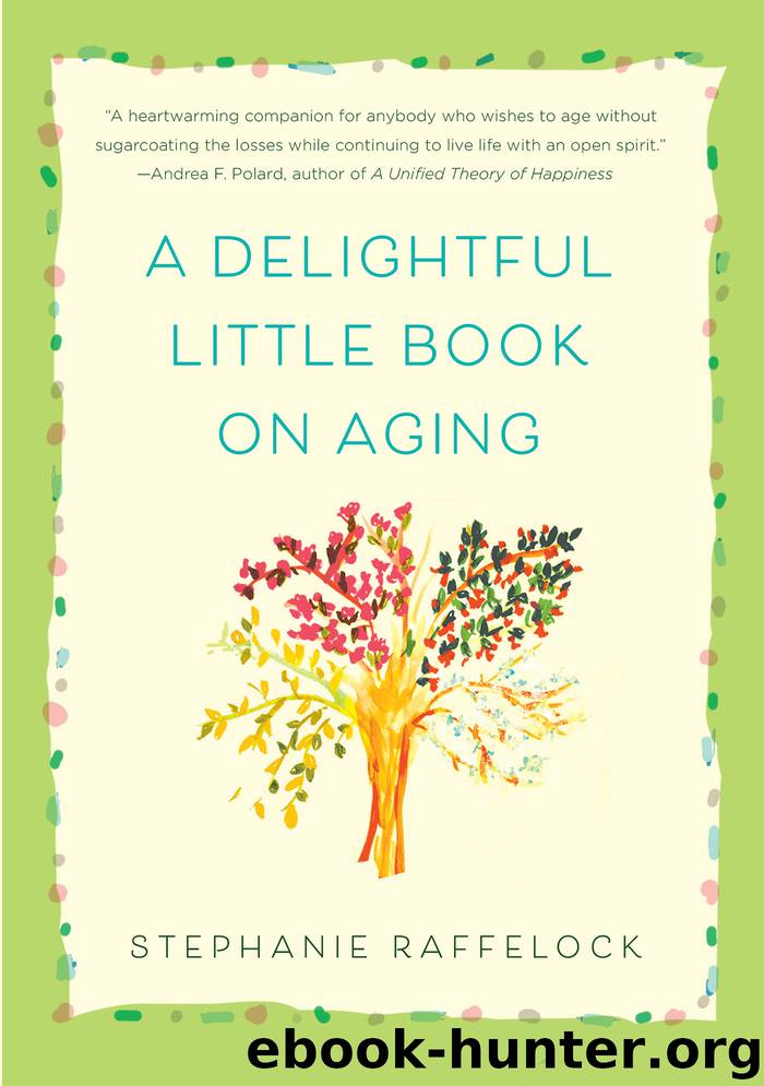 A Delightful Little Book On Aging by Stephanie Raffelock