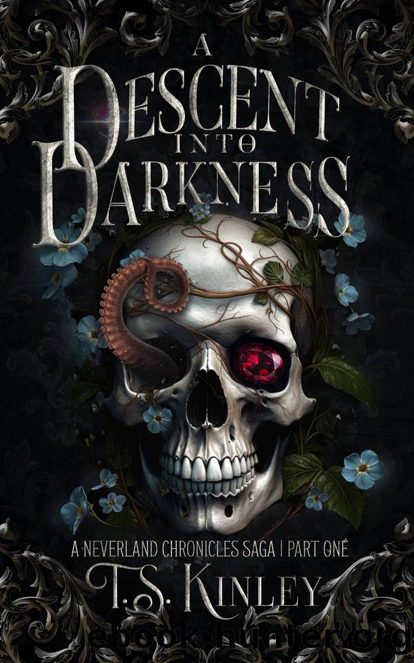 A Descent Into Darkness: A Neverland Chronicles Saga Part 1 by T.S. Kinley