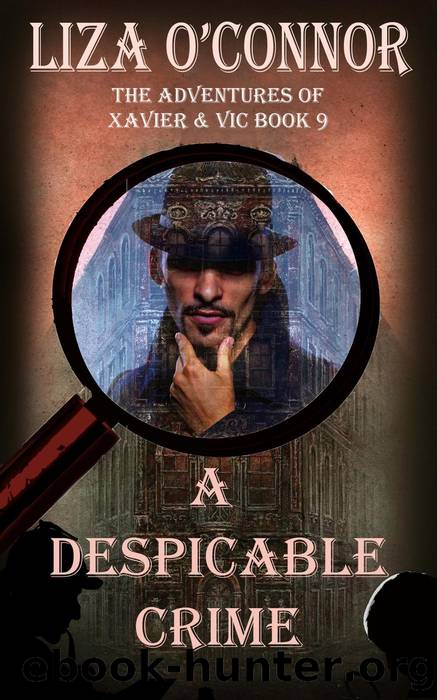 A Despicable Crime by Liza O'Connor