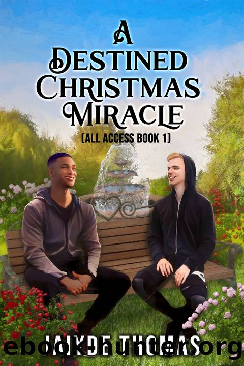 A Destined Christmas Miracle by Jaiyde Thomas