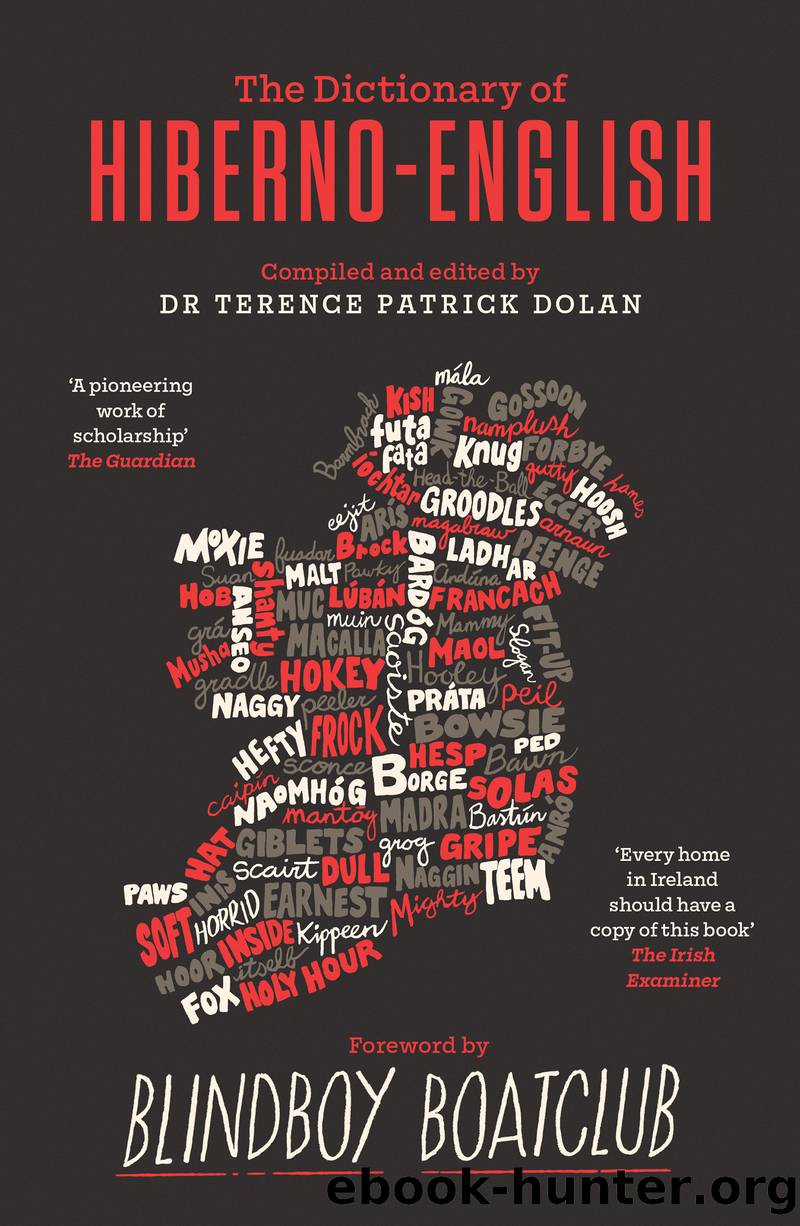 A Dictionary of Hiberno-English by Dolan Terence Patrick; Boatclub Blindboy;