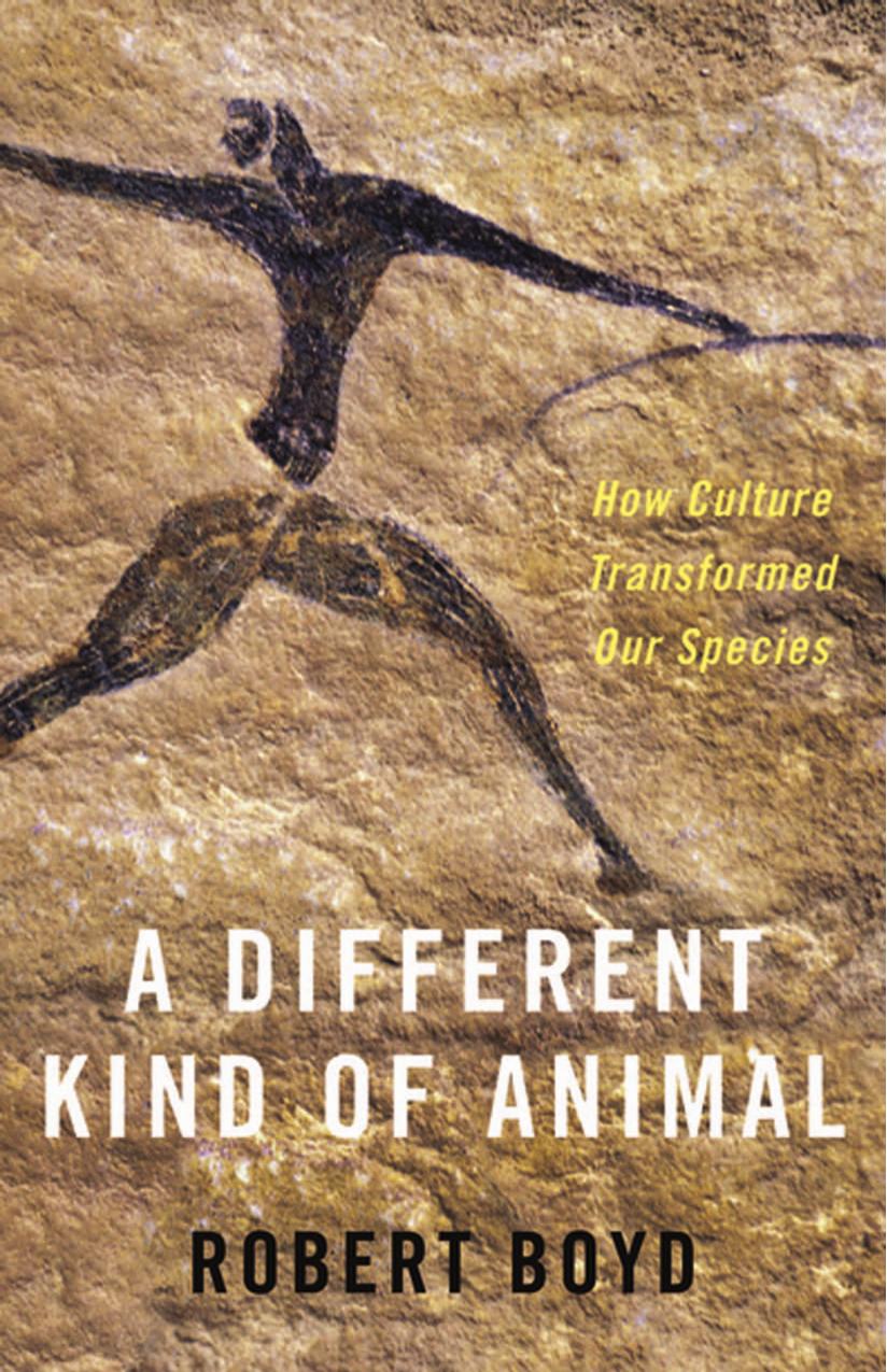 A Different Kind of Animal: How Culture Transformed Our Species by Boyd Robert