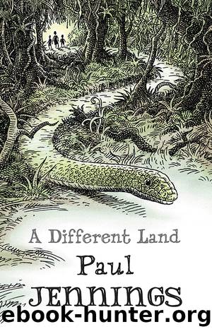 A Different Land by Paul Jennings
