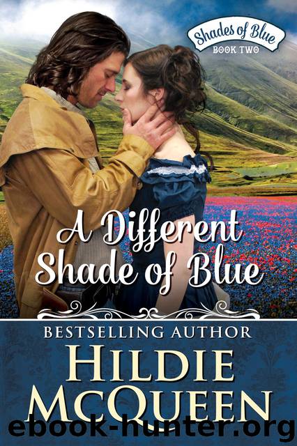 A Different Shade of Blue, Shades of Blue, Book 2 by Hildie McQueen