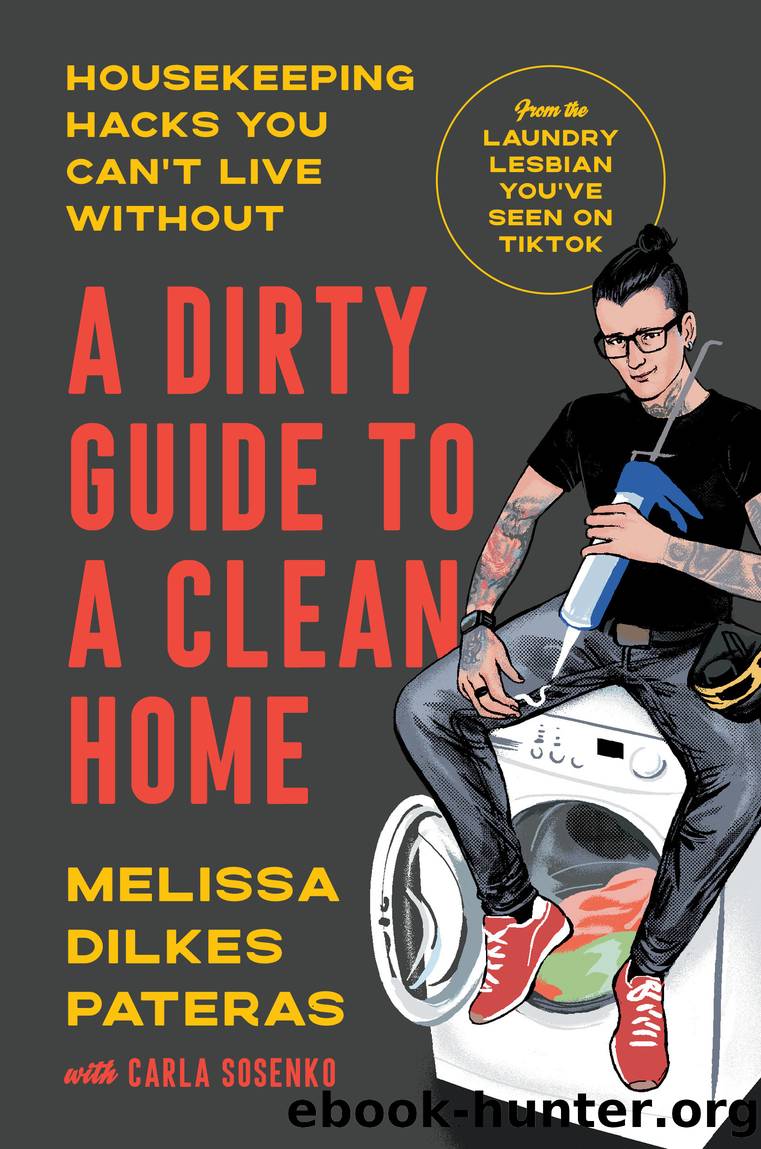 A Dirty Guide to a Clean Home by Melissa Dilkes Pateras