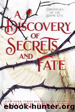 A Discovery of Secrets and Fate (Chronicles of the Stone Veil Book 2) by Sawyer Bennett