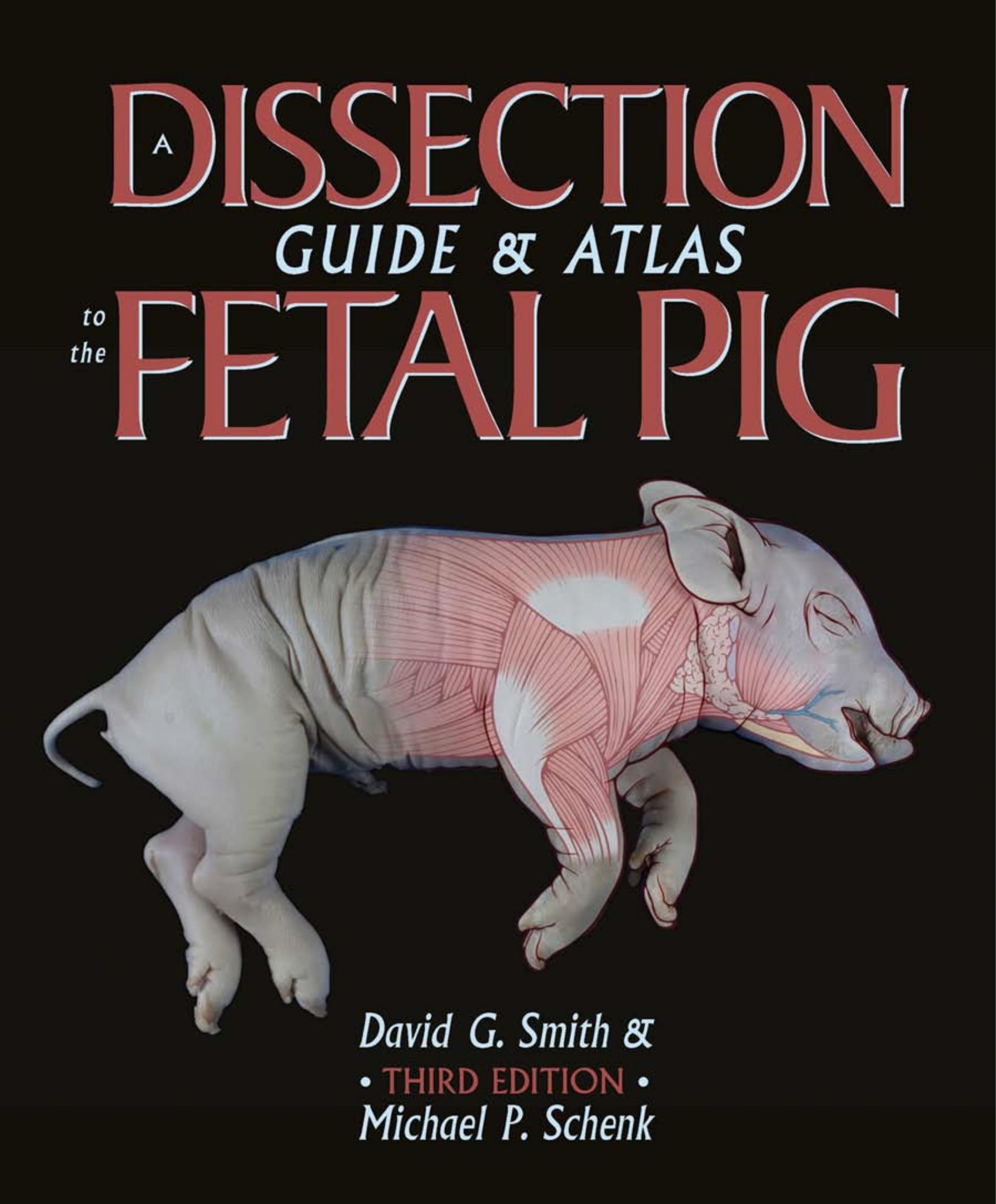 A Dissection Guide & Atlas to the Fetal Pig by David G. Smith Michael P. Schenk
