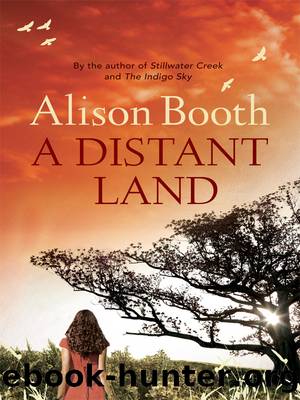 A Distant Land by Alison Booth