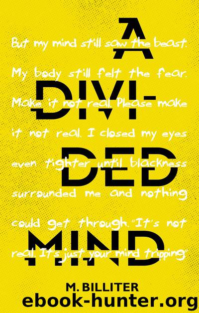 A Divided Mind by M. Billiter
