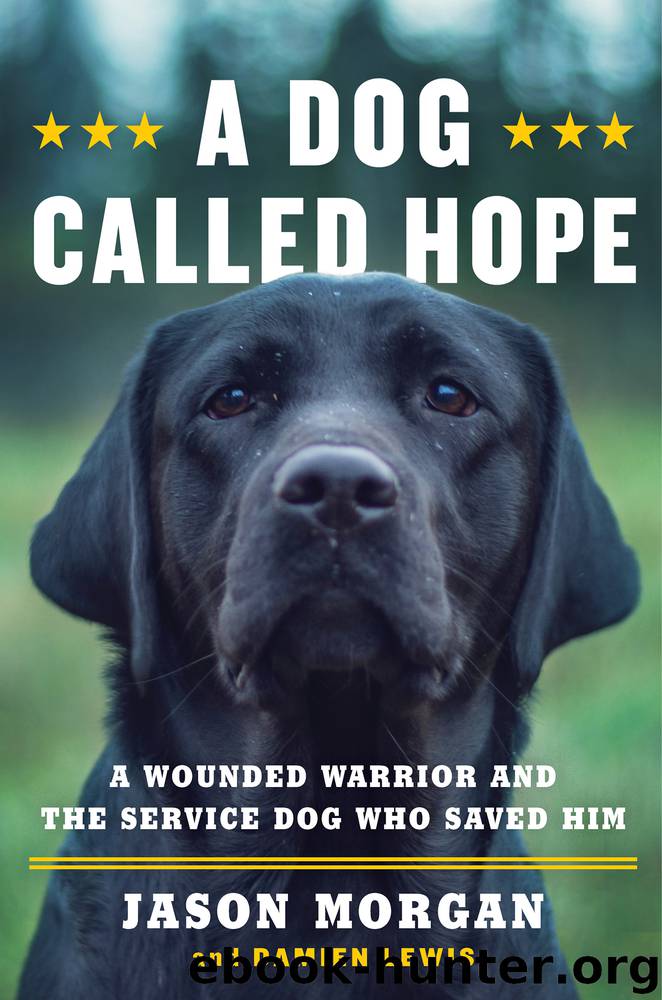 A Dog Called Hope by Jason Morgan & Damien Lewis