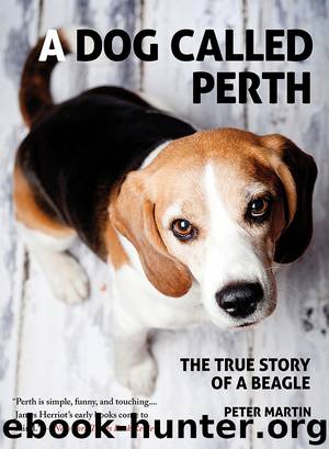 A Dog Called Perth by Peter Martin
