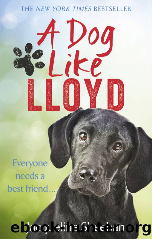 A Dog Like Lloyd by Jacqueline Sheehan