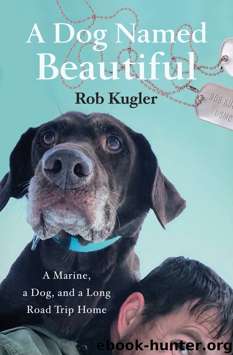 A Dog Named Beautiful by Rob Kugler