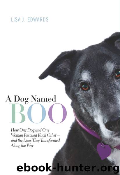 A Dog Named Boo: How One Dog and One Woman Rescued Each Other - and the Lives They Transformed Along the Way by Lisa J. Edwards
