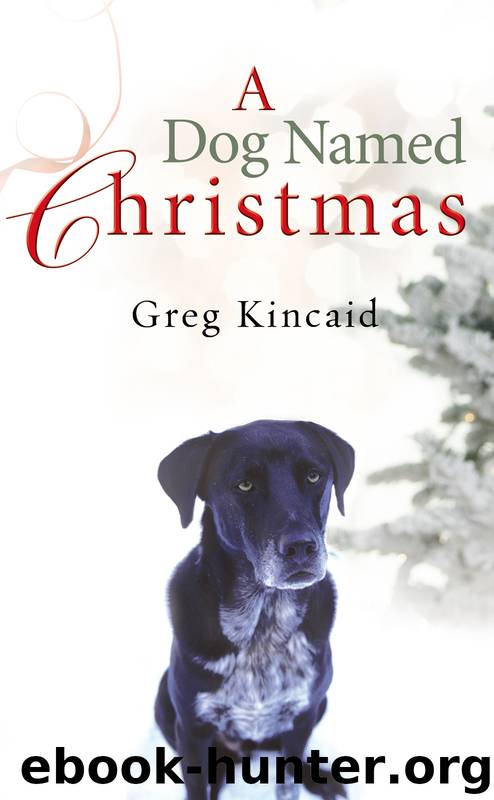 A Dog Named Christmas by Greg Kincaid