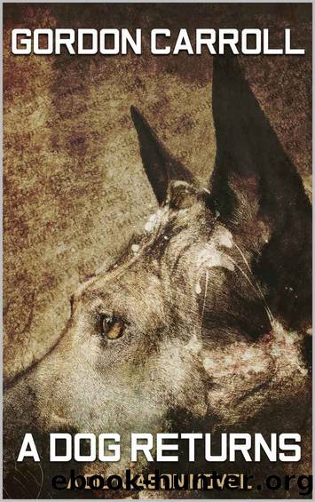 A Dog Returns by Gordon Carroll