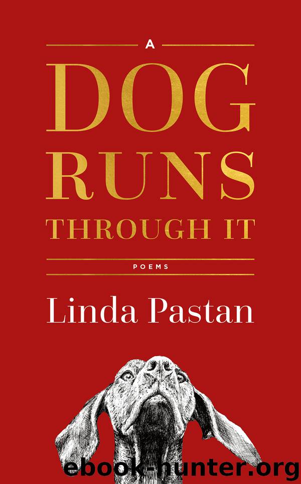 A Dog Runs Through It by Linda Pastan
