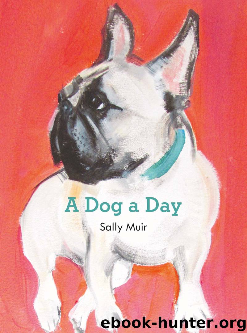 A Dog a Day by Sally Muir