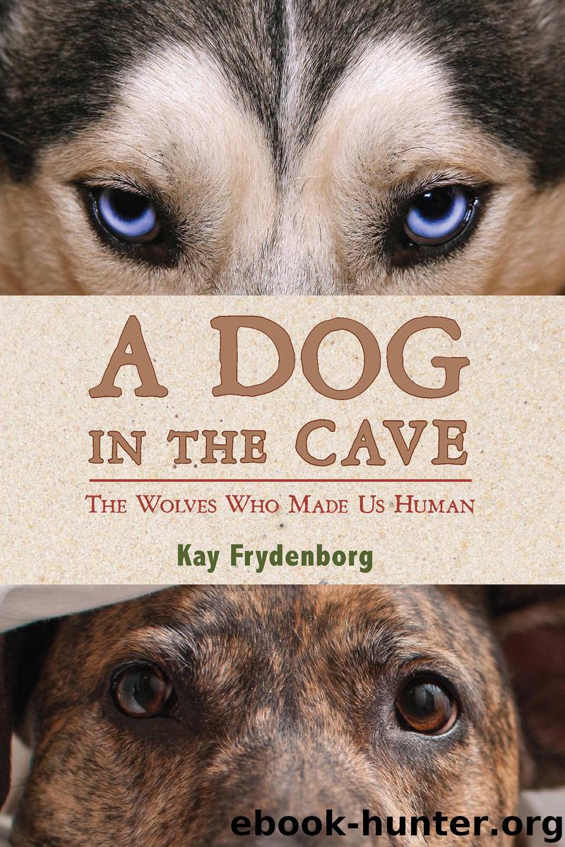 A Dog in the Cave by Kay Frydenborg