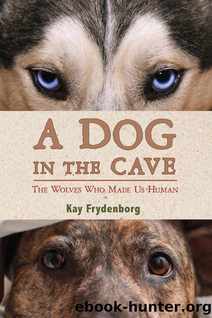 A Dog in the Cave: The Wolves Who Made Us Human by Kay Frydenborg