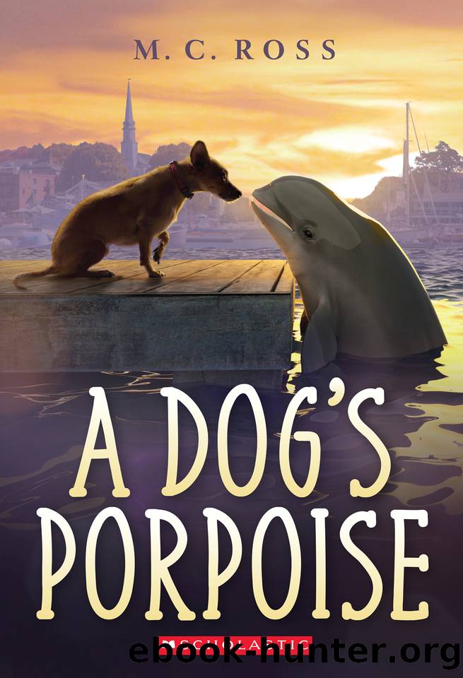 A Dog's Porpoise by M. C. Ross