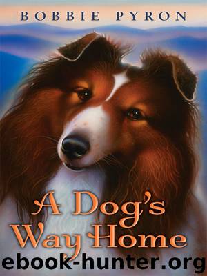 A Dog's Way Home by Bobbie Pyron