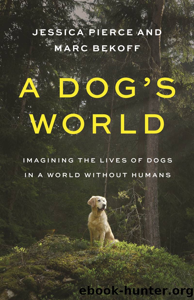 A Dog's World by Jessica Pierce;Marc Bekoff;