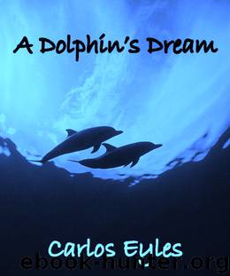 A Dolphins Dream by Eyles Carlos