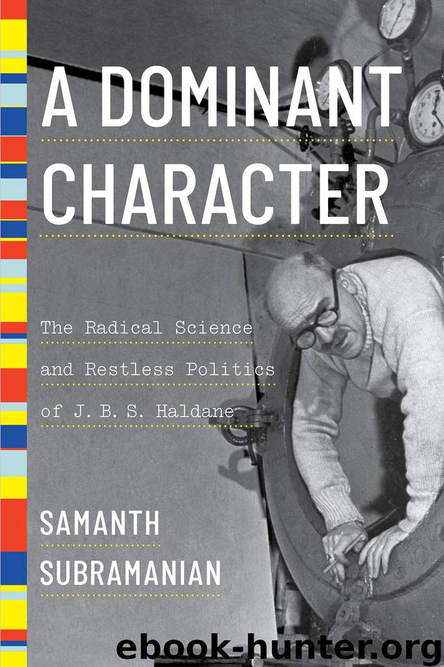 A Dominant Character by Samanth Subramanian
