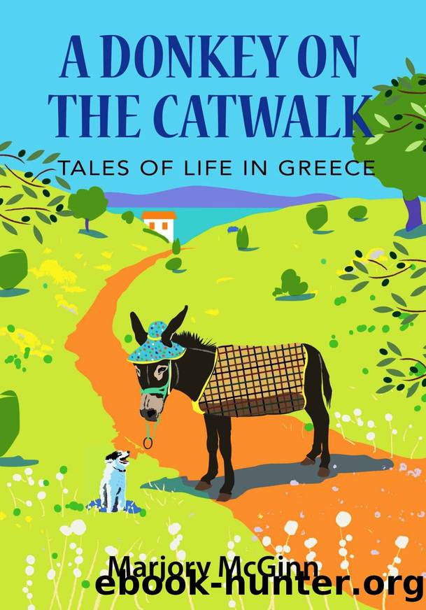 A Donkey On The Catwalk by Marjory McGinn
