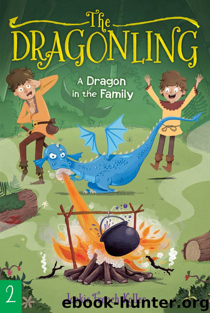 A Dragon in the Family by Jackie French Koller & Judith Mitchell